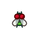 Il faut attraper cet insecte : Mouche