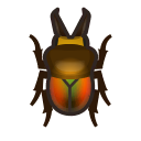 Il faut attraper cet insecte : Lucane copris irisé